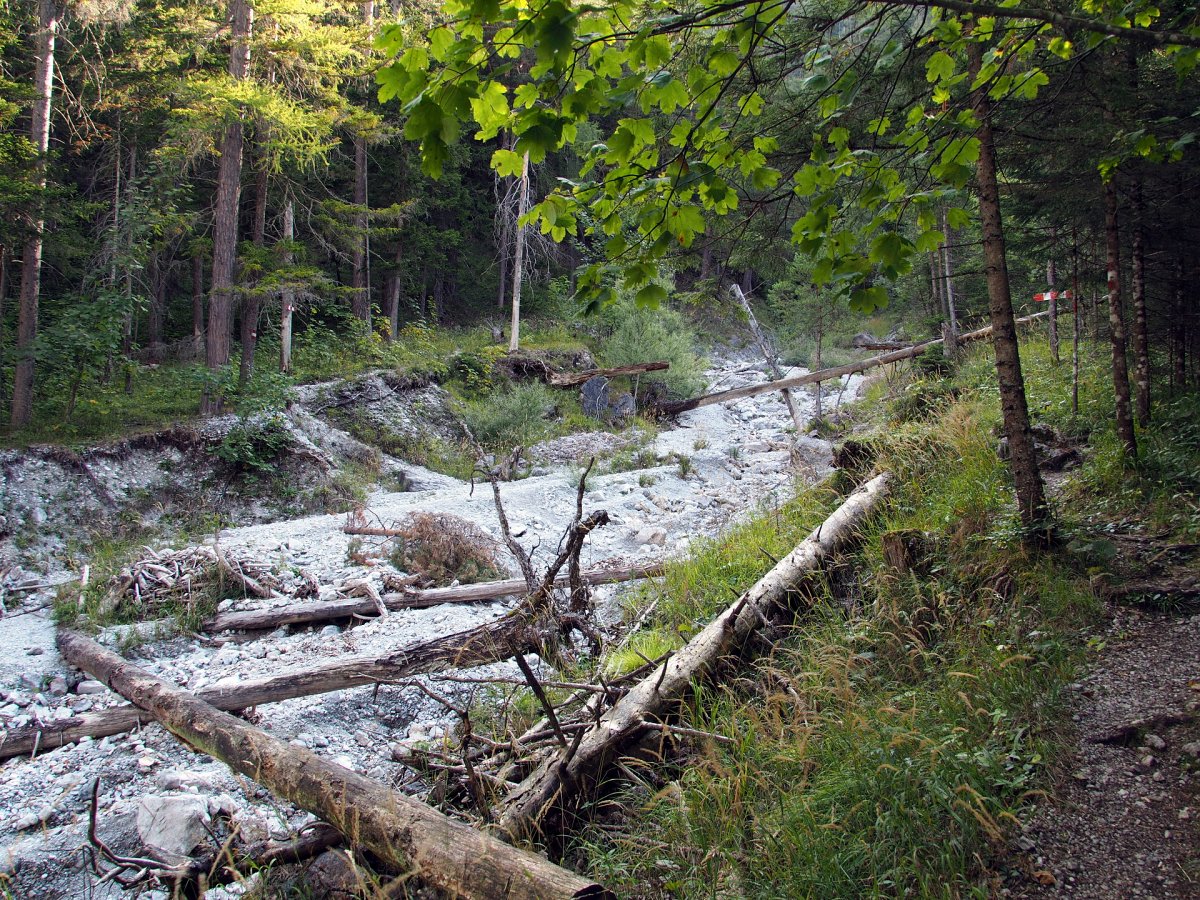 Im unteren Karlgraben / Schneealpe / Steiermark