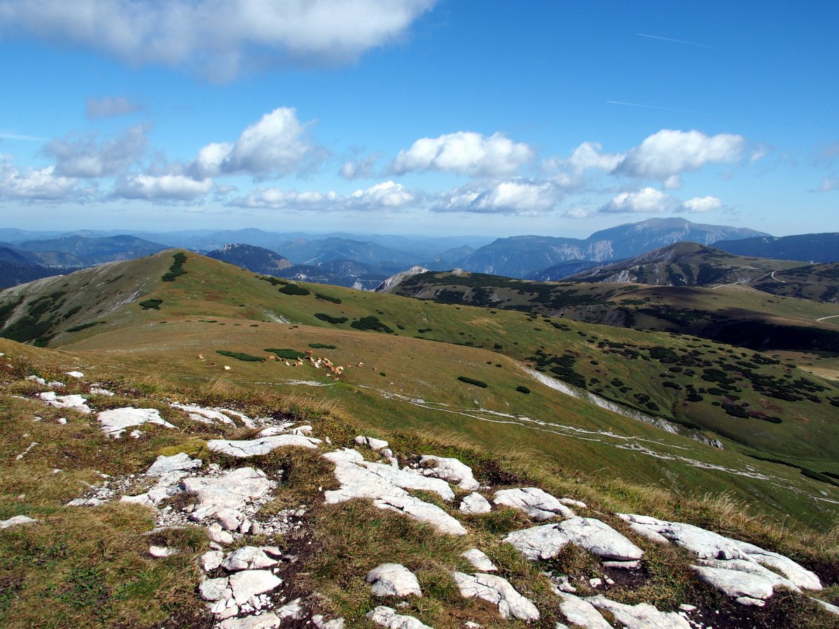Am Winberg / Schneealpe / Steiermark