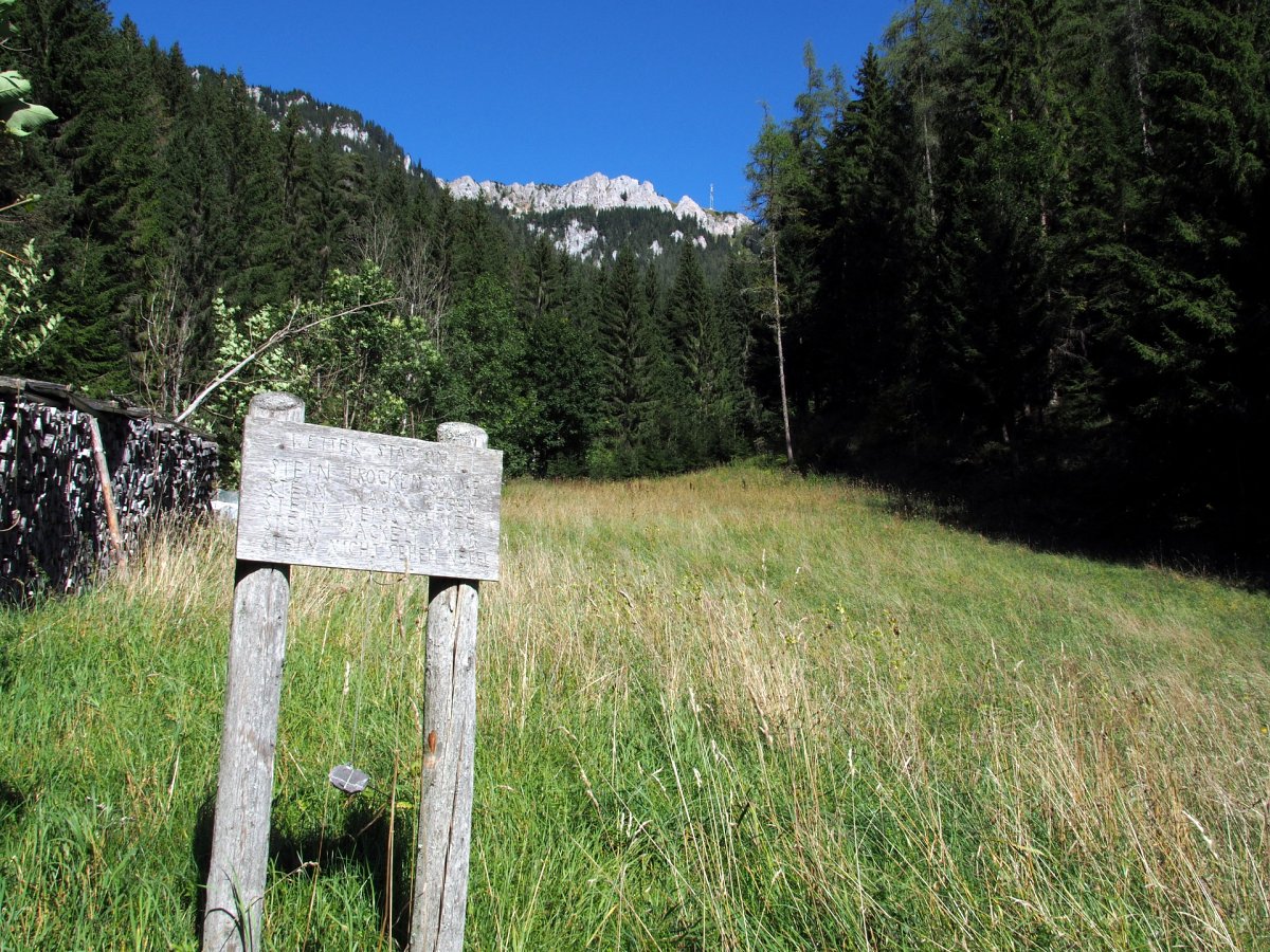 Am Holzknechtsteig / Schneealpe / Steiermark