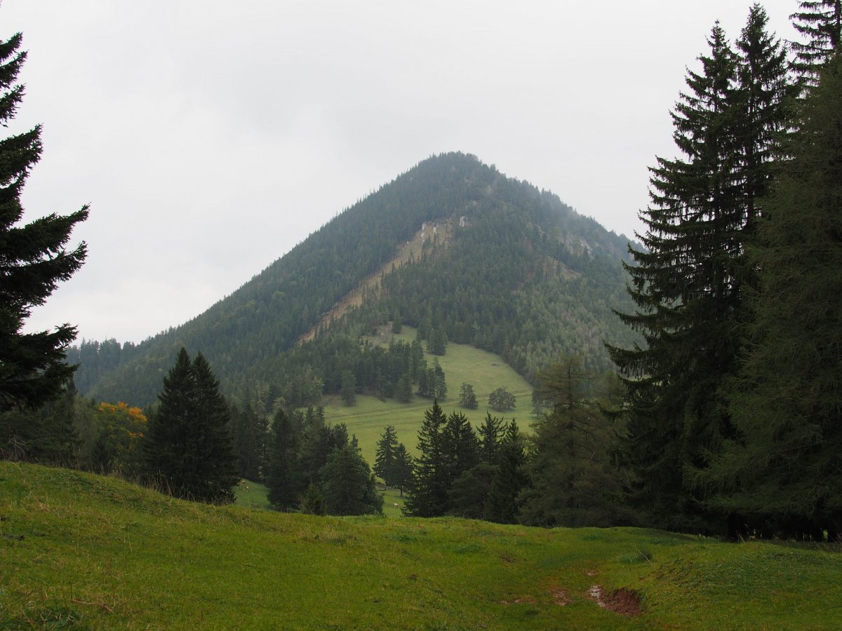 Schober / Dürre Wand / Niederösterreich