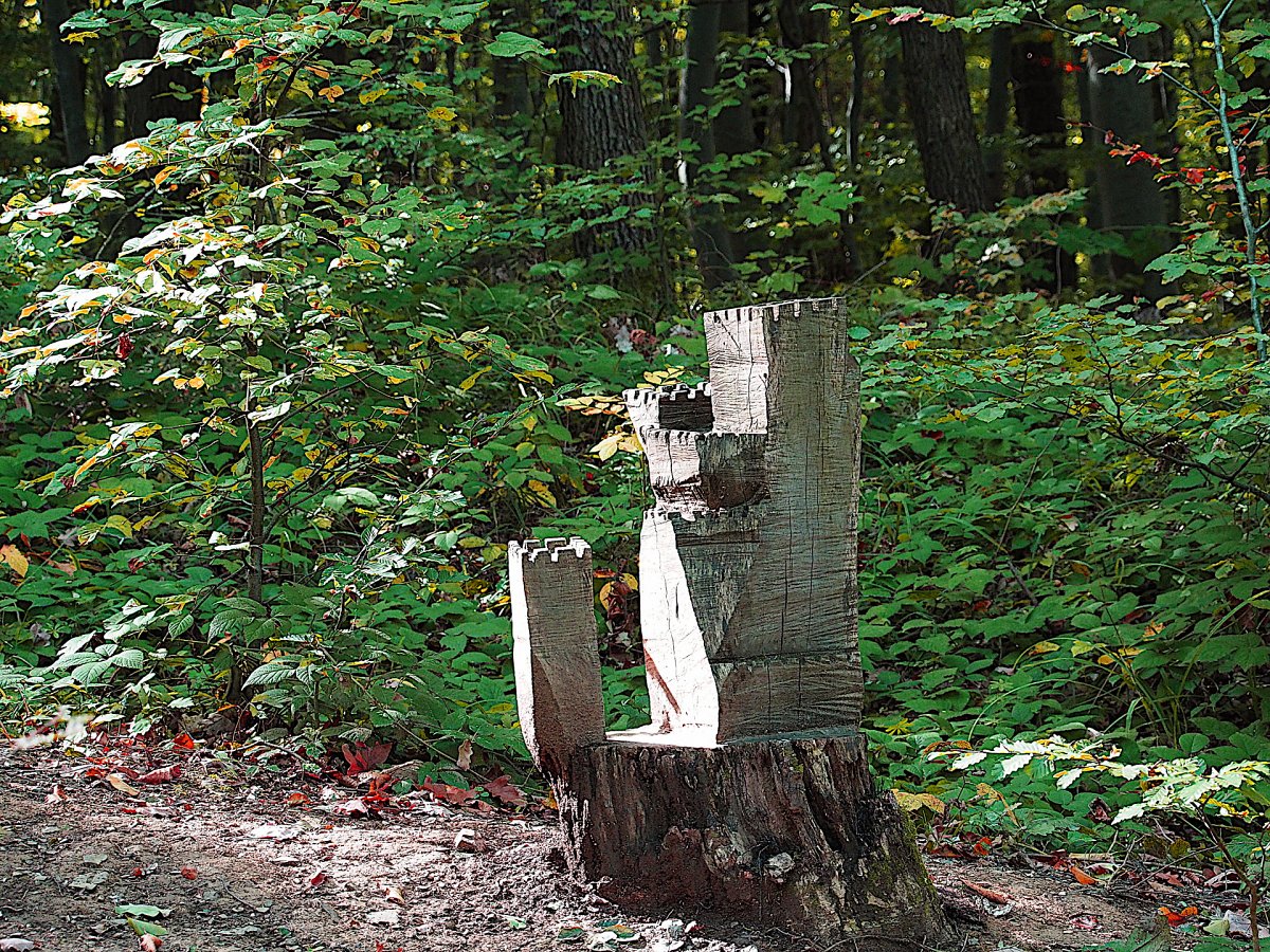 Holz-Burg / Wien