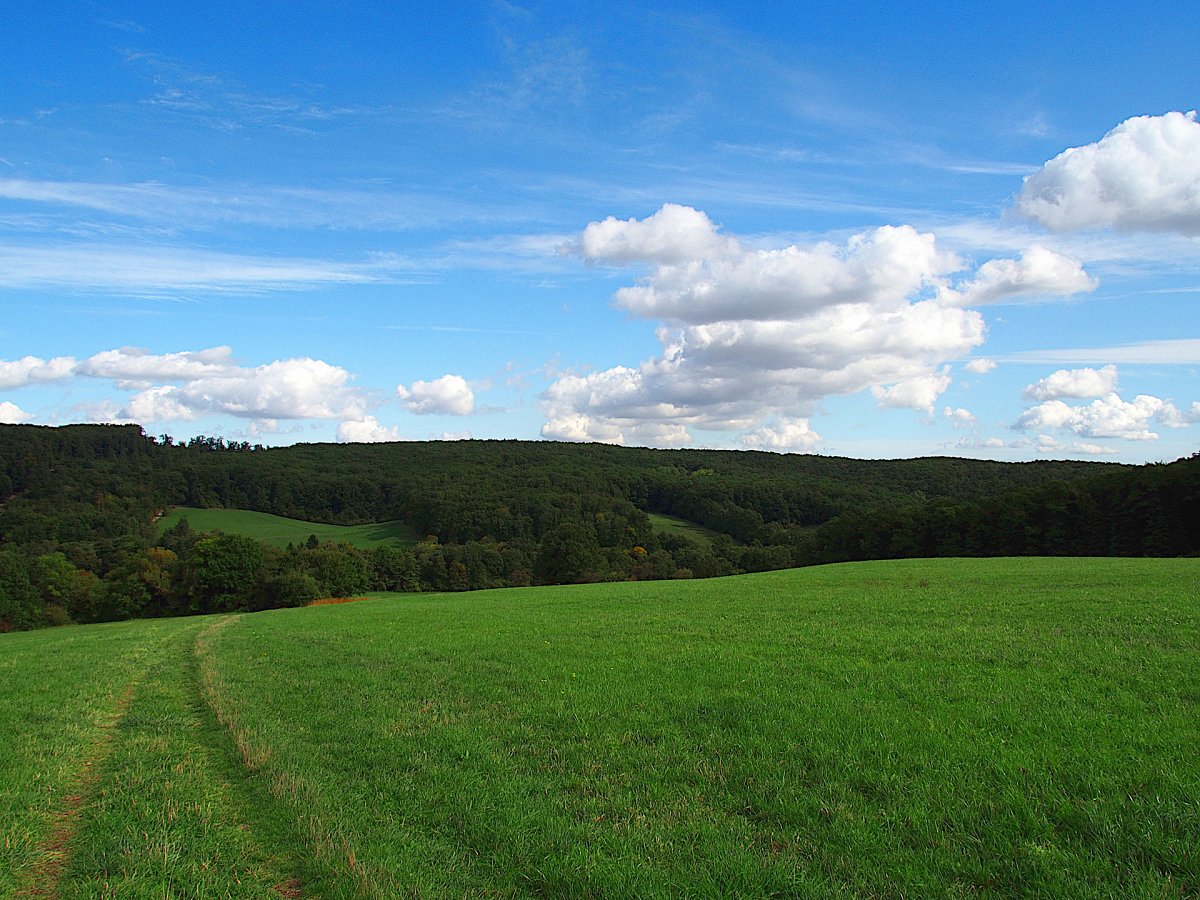 Eichwiese / Wien