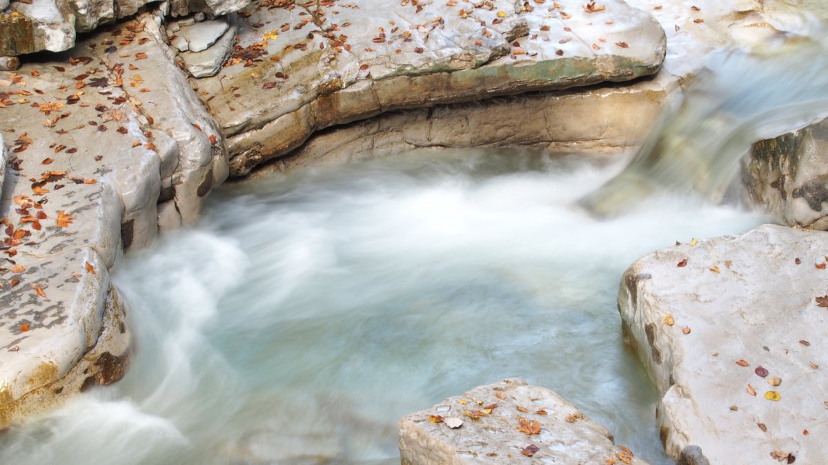 Blätter am Fluss