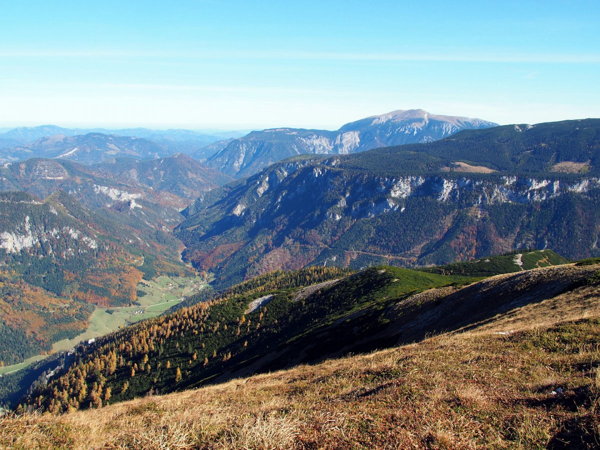 Blick vom Ameisbühel nach Naßwald / Niederösterreich