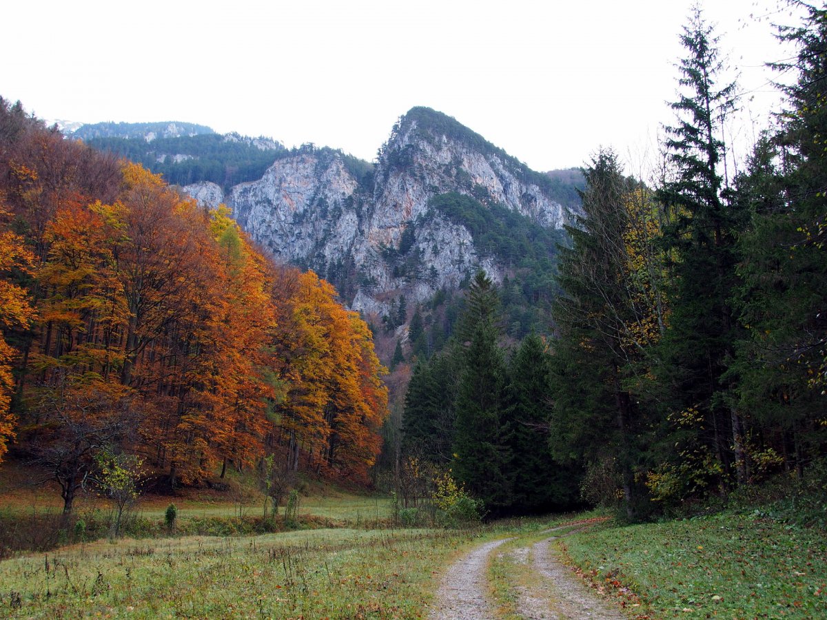 Kaiserbrunn / Höllental / Niederösterreich