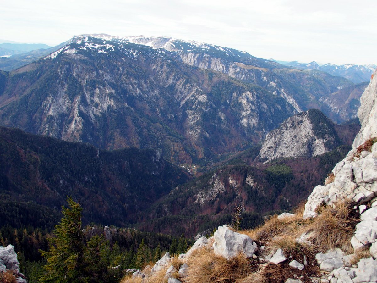 Am Weg zum Krummbachstein / Niederösterreich