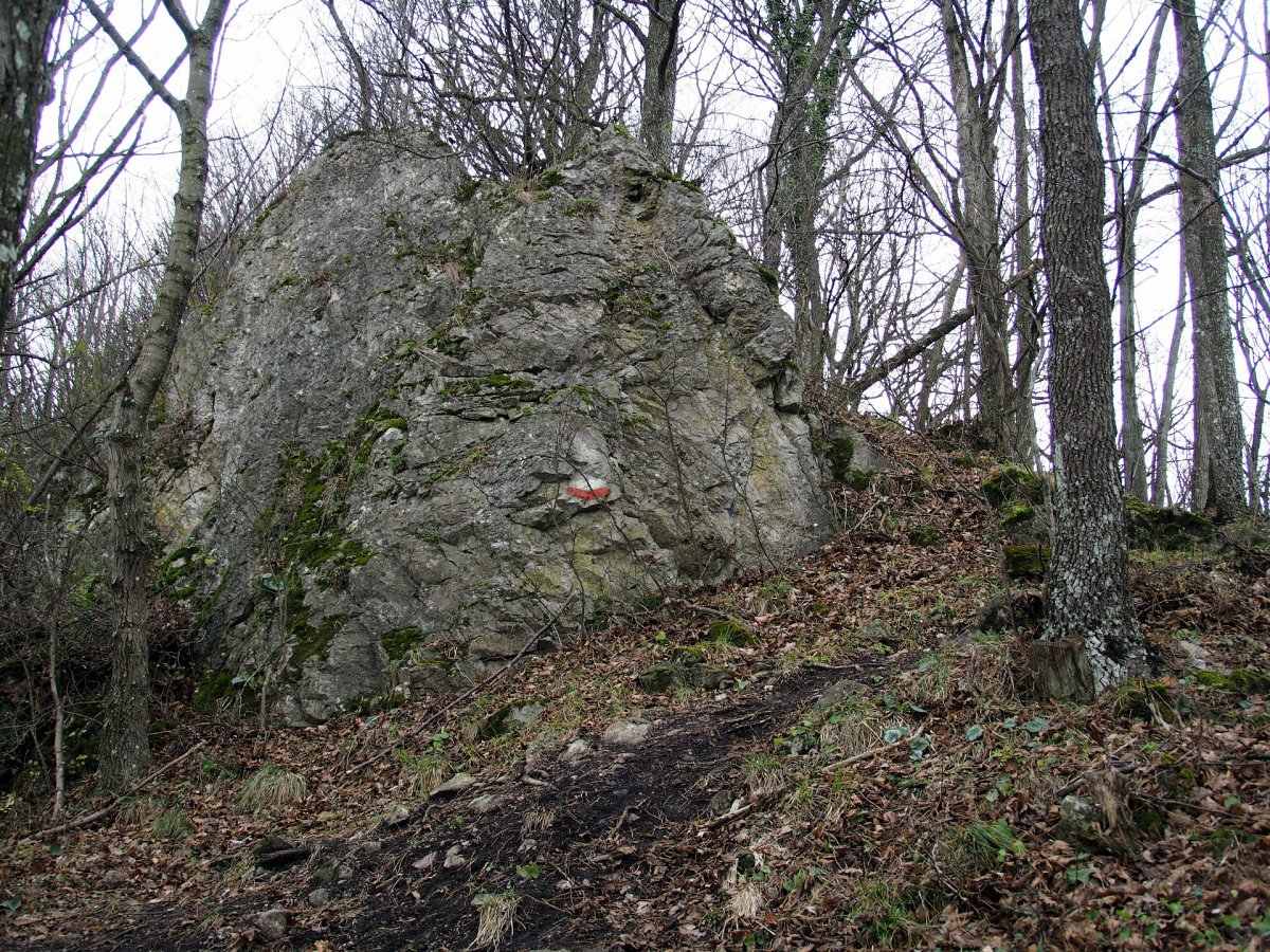 Am Weg zum Mitterberg / Wassergspreng