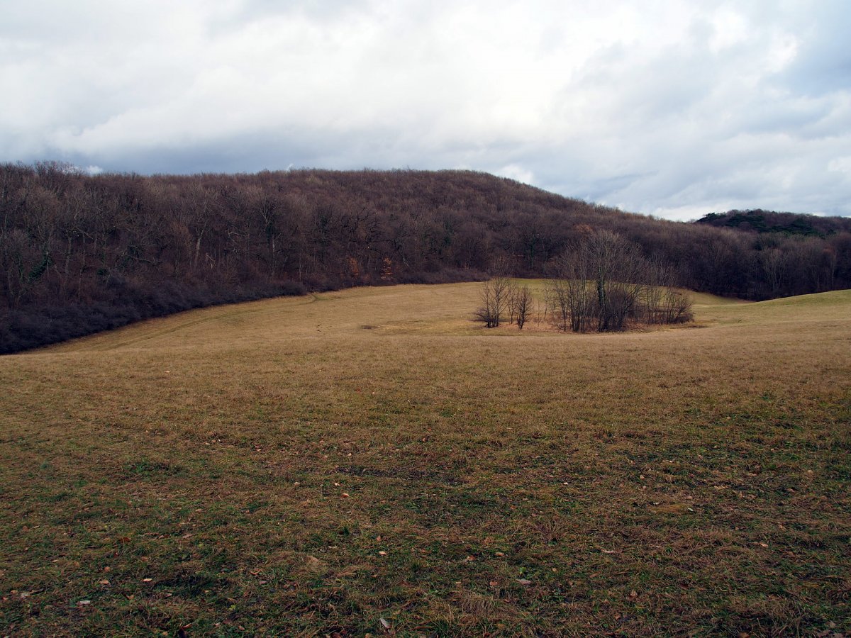 Großer Sattel / Föhrenberge
