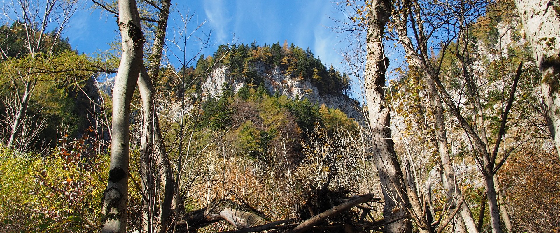 Wandern am Herminensteig / Schneeberg / Niederösterreich