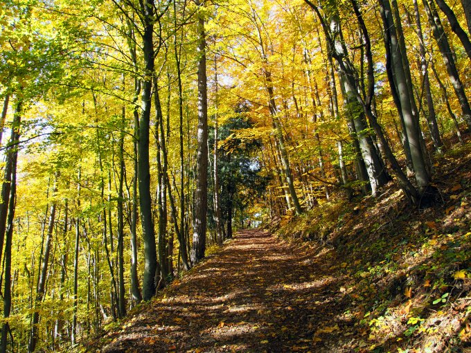 Goldener Herbst in den Voralpen