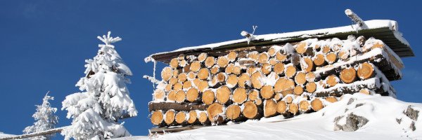 Holz im Schnee
