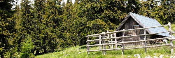 Hütte am Alpl / Krummbachstein / Niederösterreich