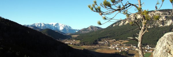 Schneeberg vom Irmasteig - Fischauer Vorberge