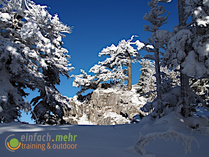 Winterzauber in den Voralpen / Dürre Wand / Niederösterreich